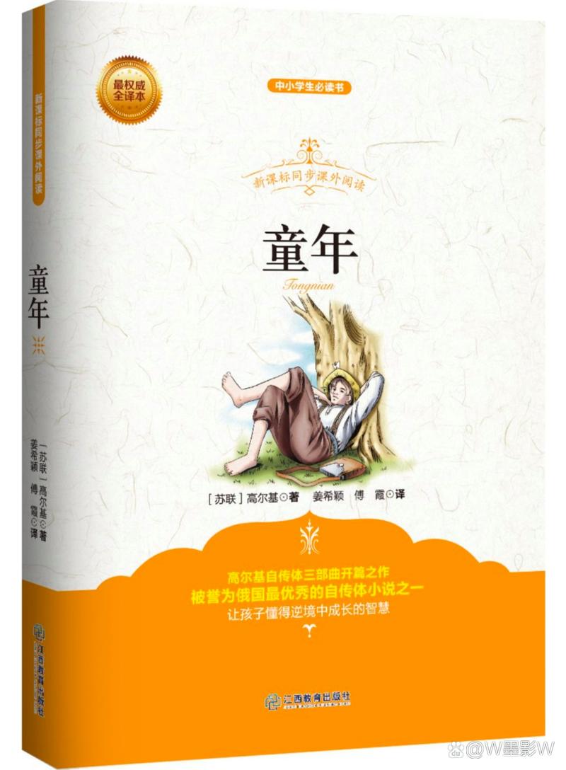 高尔基《童年》  第1张