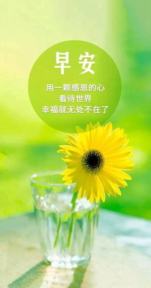 每日早安正能量励志问候语,成功需要付出努力和汗水 第1张 每日早安正能量励志问候语,成功需要付出努力和汗水 第1张