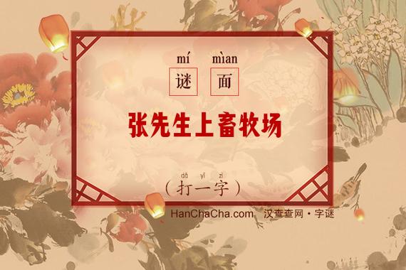 张先生去下面 （打一字）  第1张