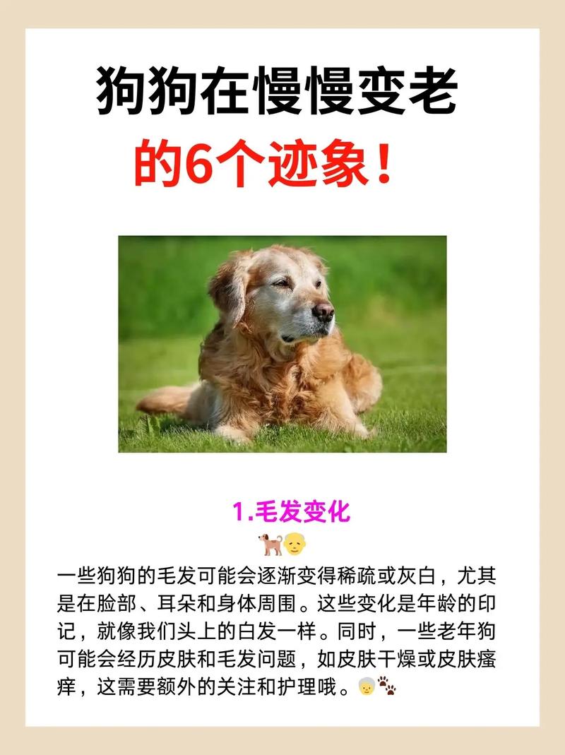 是变老的迹象吧  第1张