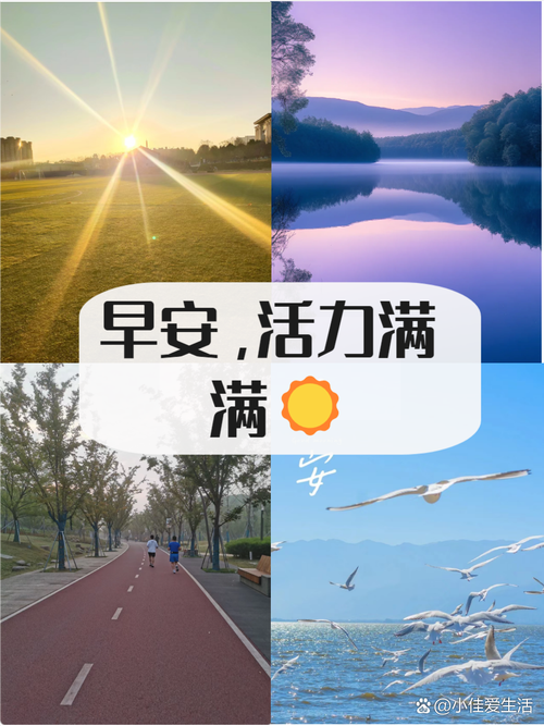 新的一天，带着阳光，愿你的心情明亮，勇敢面对一切  第1张