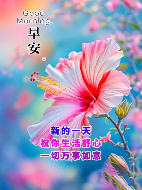晨风拂面,心情愉悦,早安,愿你的日子如画一般绚丽 第1张 晨风拂面,心情愉悦,早安,愿你的日子如画一般绚丽 第1张