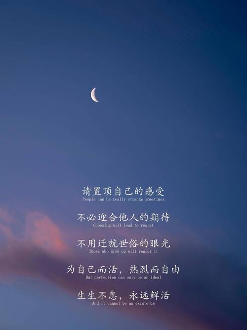 干净简短有深意的文案：眼盛星河，心向远方；心有山海，静而无边  第1张