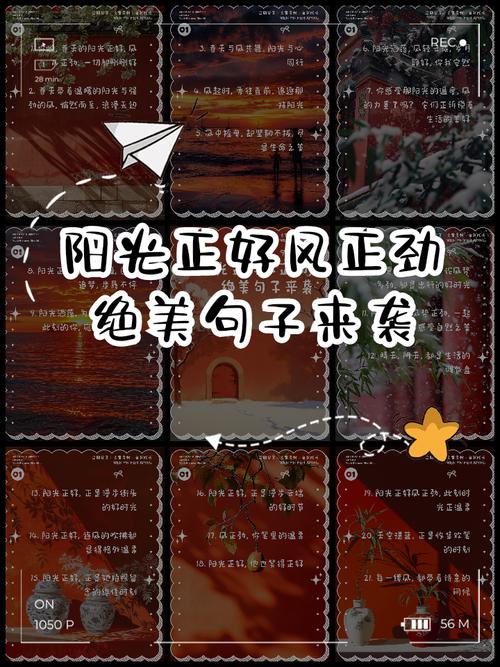阳光正好的唯美句子70条经典语录大全  第1张
