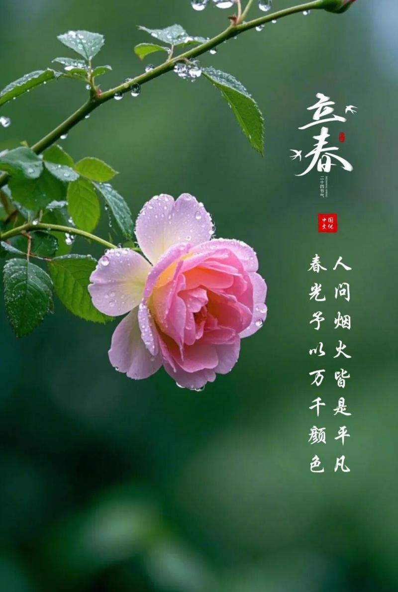 我走过了最冷的严冬，春天还会远么  第1张