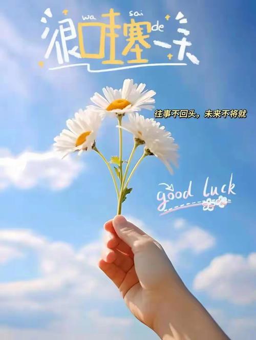 除了Good Luck可以表示"好运"，你还知道别的表达法吗？  第1张