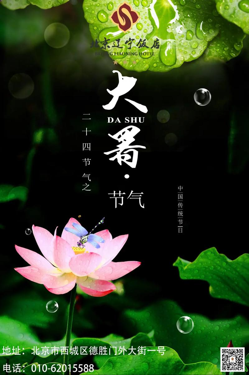现了马脚无人关注 （打一节气名）  第1张
