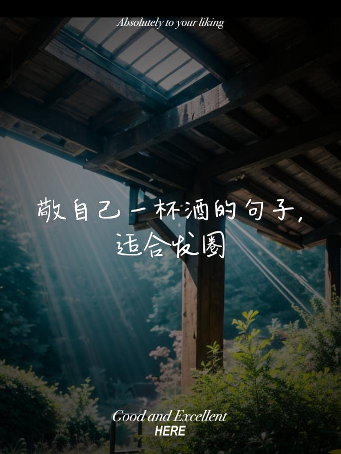 我敬岁月一杯酒，岁月分我三分忧  第1张
