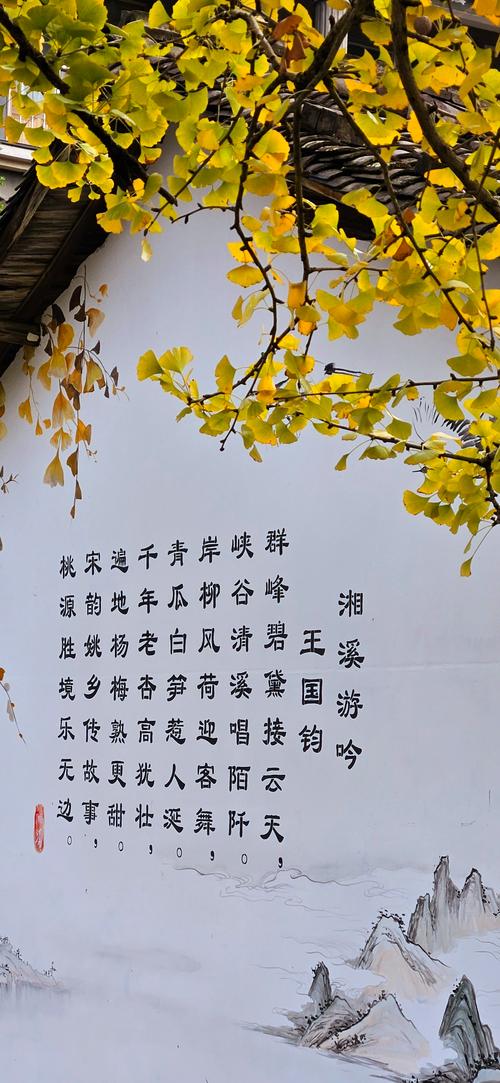 唯有银杏不负秋 如画三管任君游! 第1张 唯有银杏不负秋 如画三管任君游! 第1张