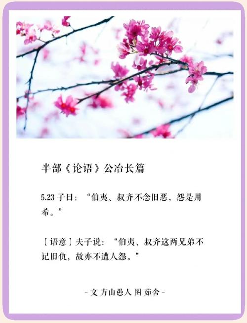 金句:伯夷、叔齐不念旧恶,怨是用希 第1张 金句:伯夷、叔齐不念旧恶,怨是用希 第1张