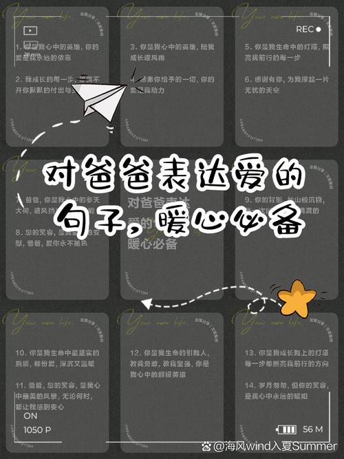 适合父亲节发的暖心文案  第1张