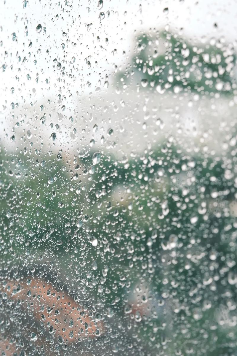 同一样样雨,不一样的心情 第1张 同一样样雨,不一样的心情 第1张