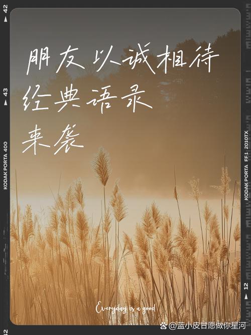 与人相处,请真心相待!(句句入心) 第1张 与人相处,请真心相待!(句句入心) 第1张
