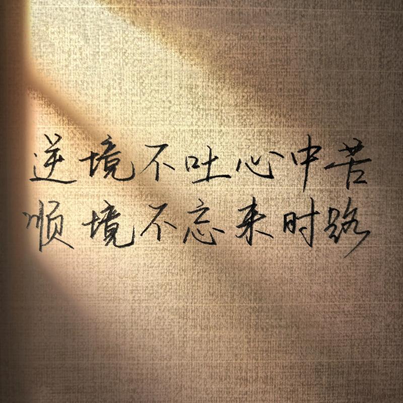 人生感悟的励志语录，顺境逆境看胸襟，大事难事看担当  第1张