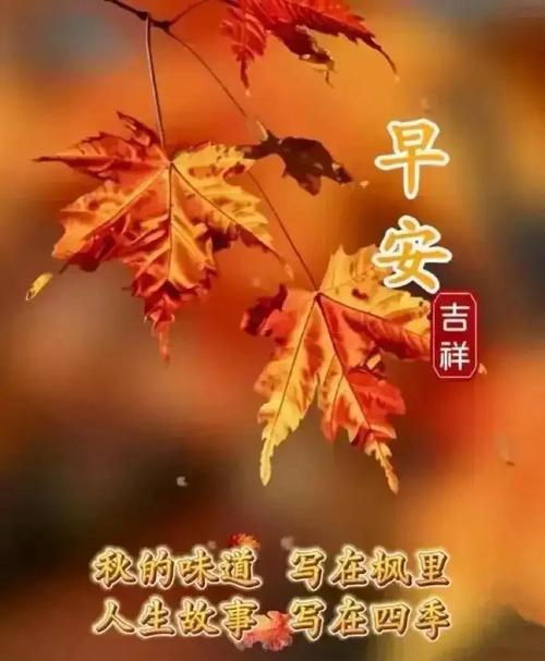 早安问候语,简短暖心一句话,祝秋天快乐! 第1张 早安问候语,简短暖心一句话,祝秋天快乐! 第1张