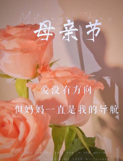 母亲节暖心文案祝福语,图片短句干净,句句走心 第1张 母亲节暖心文案祝福语,图片短句干净,句句走心 第1张