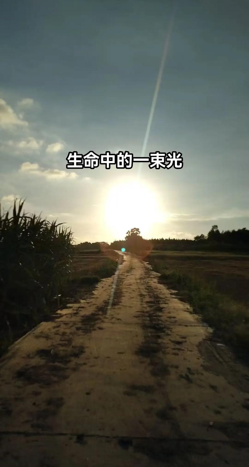 1、愿时光慢慢行，做你的双脚，陪你到老 骄阳如火，带你走荫凉，护你落日余辉  第1张