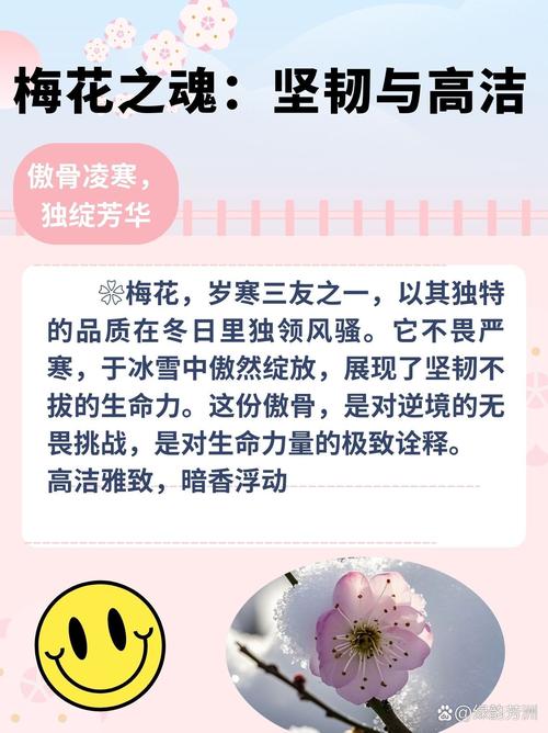 「泣血整理」这些年那些经典的梅吹语录 第1张 「泣血整理」这些年那些经典的梅吹语录 第1张