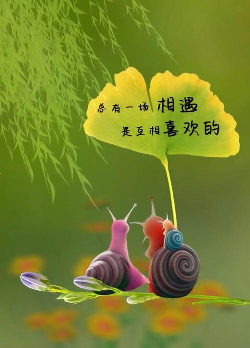 一别天涯海角，余生，各自安好  第1张