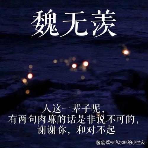 魏无羡的经典语录,值得每一个忠粉记下「魔道祖师」 第1张 魏无羡的经典语录,值得每一个忠粉记下「魔道祖师」 第1张