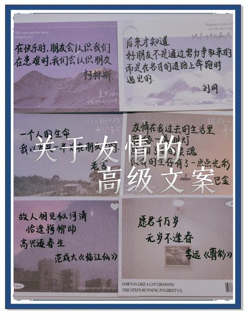 关于朋友情谊的经典句子(适合发朋友圈的文案句子) 第1张 关于朋友情谊的经典句子(适合发朋友圈的文案句子) 第1张