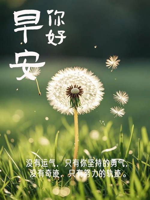 「2023.10.30」早安心语,正能量激励语录句子,精美语录句子图片 第1张 「2023.10.30」早安心语,正能量激励语录句子,精美语录句子图片 第1张