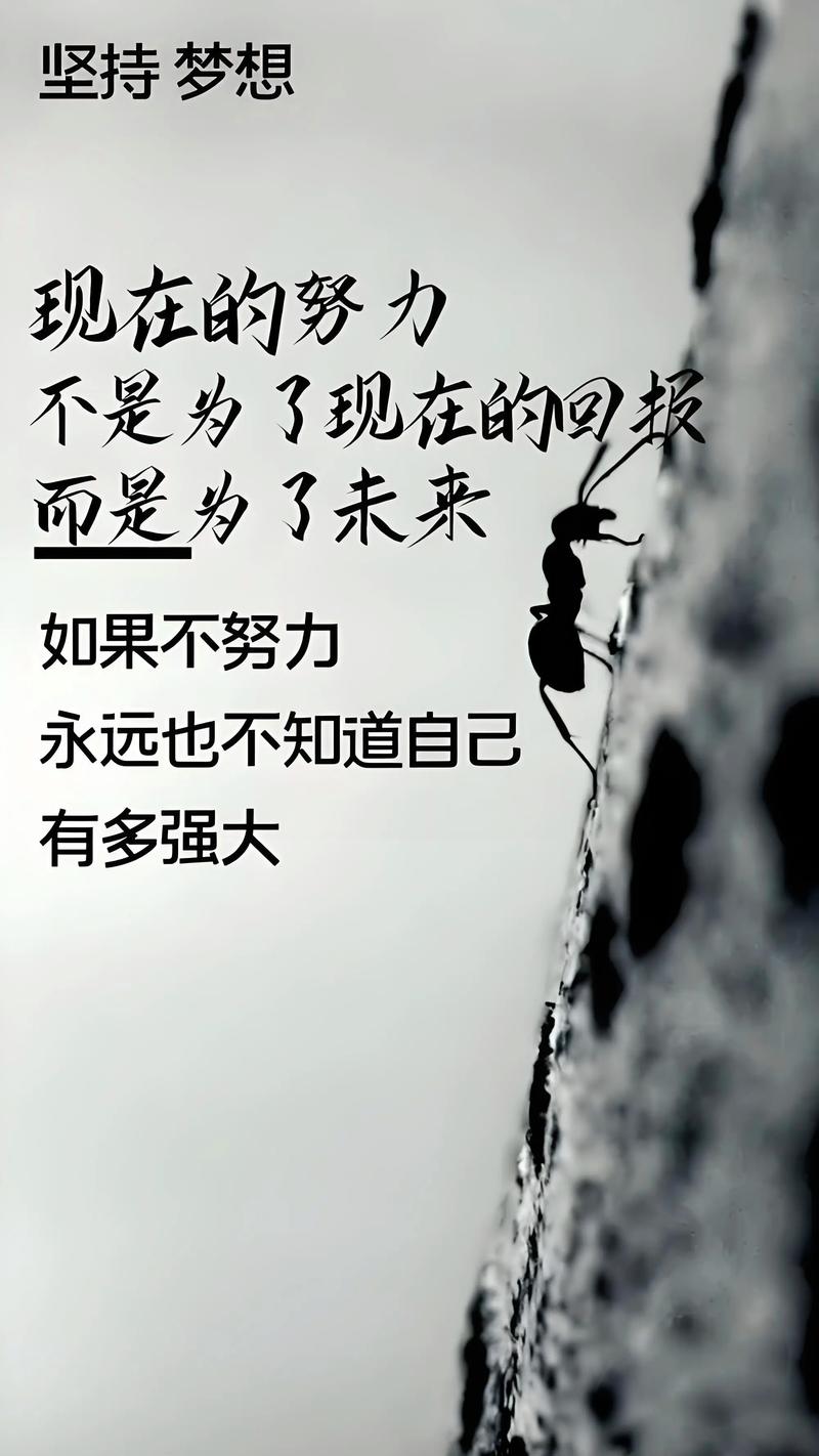 努力活好自己的句子，句句精彩  第1张
