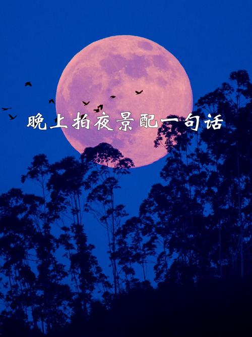 夜晚美景的句子：沉醉夜色，缱绻美景，静享灵魂的安宁  第1张