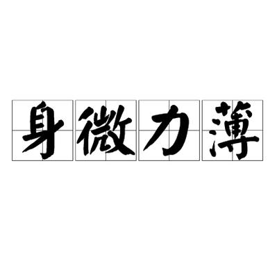 身微力薄[shēn wēi lì bó]  第1张