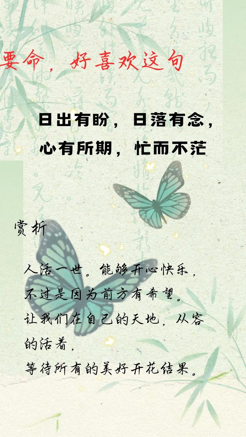 世间的期待有千万种，最美好的那种叫明日可期  第1张