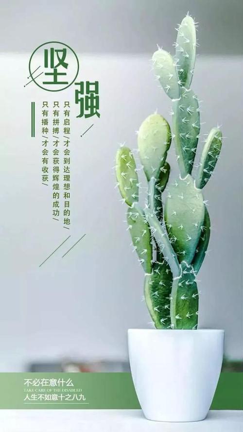发朋友圈唯美阳光的句子,意义深远,正能量满满 第1张 发朋友圈唯美阳光的句子,意义深远,正能量满满 第1张