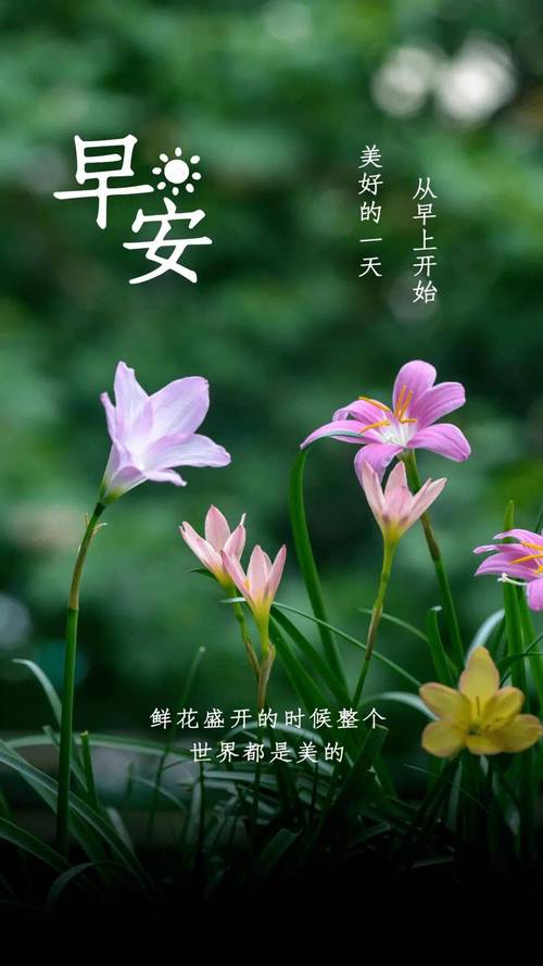 早安正能量简短的励志句子,致自己经典有内涵的早安说说 第1张 早安正能量简短的励志句子,致自己经典有内涵的早安说说 第1张
