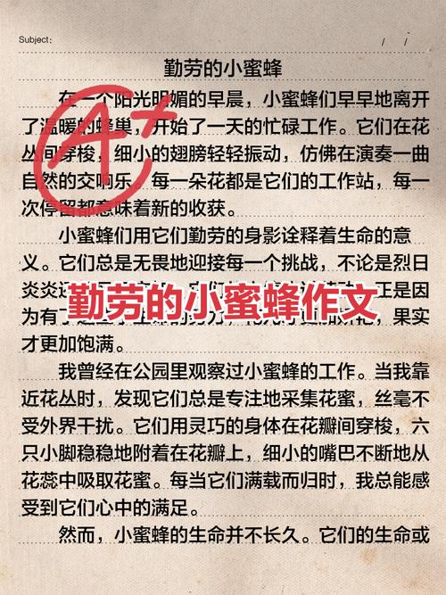动物素材:描写蜻蜓、蜜蜂的好词好句好段! 第1张 动物素材:描写蜻蜓、蜜蜂的好词好句好段! 第1张