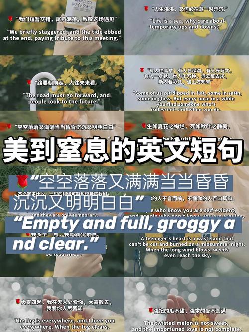 最适合发朋友圈的中英双语美句 第1张 最适合发朋友圈的中英双语美句 第1张