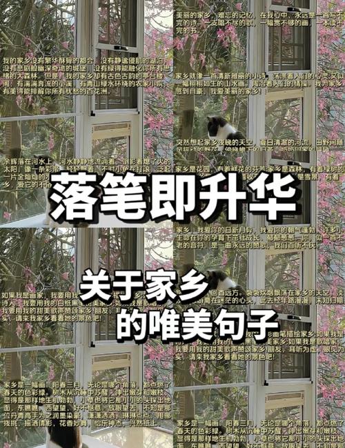 20句写给故乡文案,小孩眺望远方,成人怀念故乡 第1张 20句写给故乡文案,小孩眺望远方,成人怀念故乡 第1张