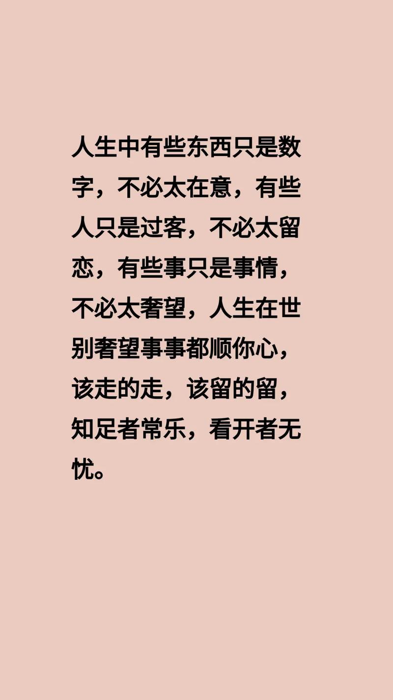 你只是这个世界的过客，什么都不必在乎  第1张