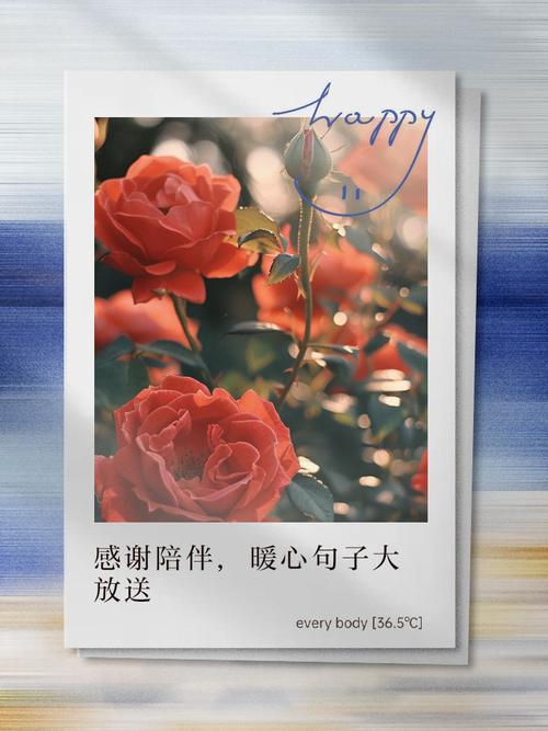 感谢有你的陪伴,细水长流中的爱情真谛 第1张 感谢有你的陪伴,细水长流中的爱情真谛 第1张
