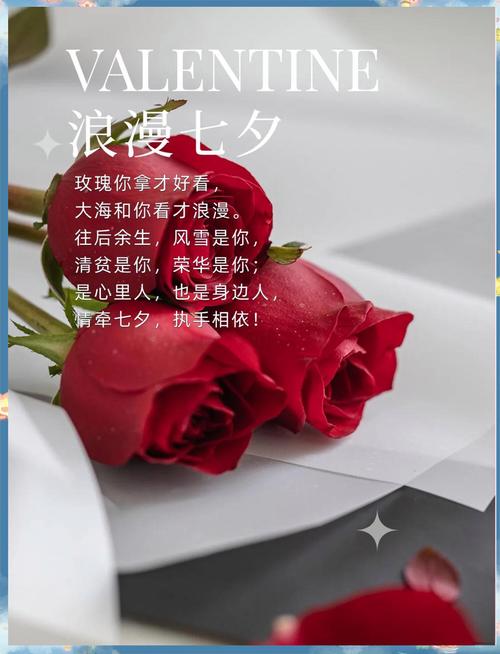情人节暖心话十字短句 2021情人节告白句子 情人节朋友圈文案  第1张
