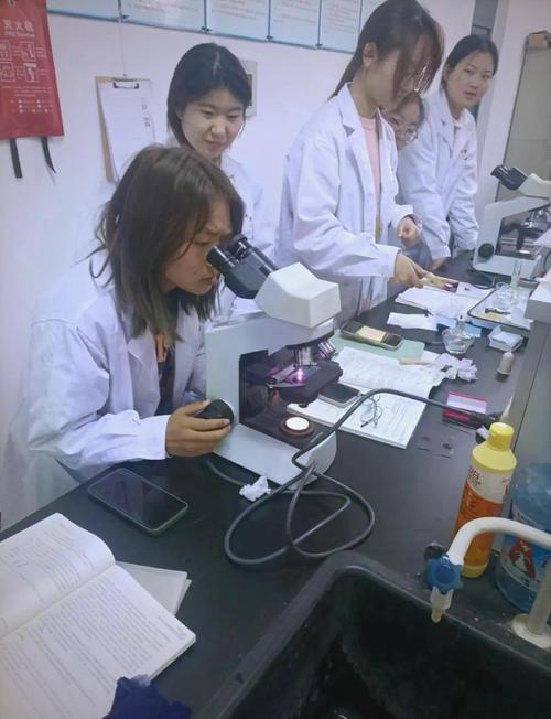 锦州医科大学食品营养与健康专业好不好?排名怎么样 第1张 锦州医科大学食品营养与健康专业好不好?排名怎么样 第1张
