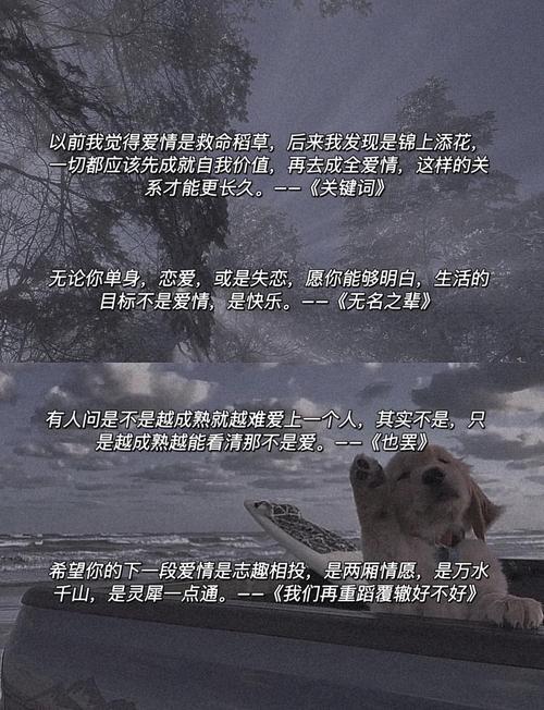 “那些拉你上岸的救赎文案” 第1张 “那些拉你上岸的救赎文案” 第1张