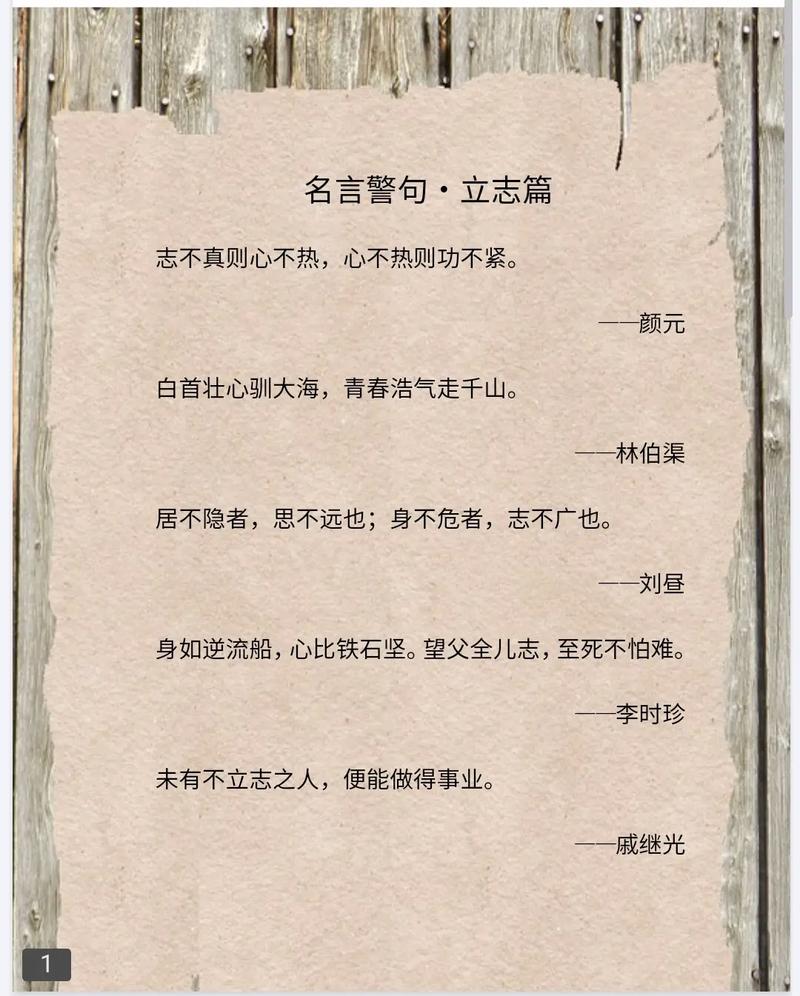 抖音很火的励志短句，无志者常立志，有志者立常志  第1张