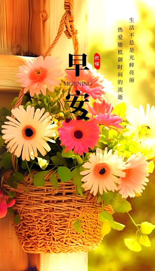 正能量的早安问候短语,句句经典走心,增添您的人生阅历 第1张 正能量的早安问候短语,句句经典走心,增添您的人生阅历 第1张
