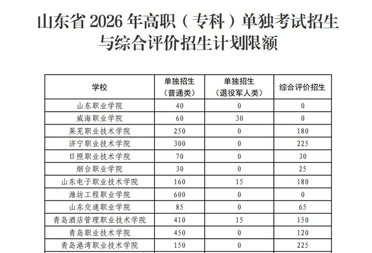 2026山东省教育招生考试院官网入口 第1张 2026山东省教育招生考试院官网入口 第1张