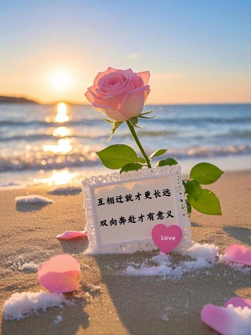 有一种爱，叫初次相遇，从此便负重前行  第1张