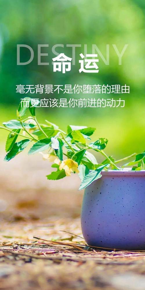 阳光正能量的励志句子，催人奋进，积极美好  第1张