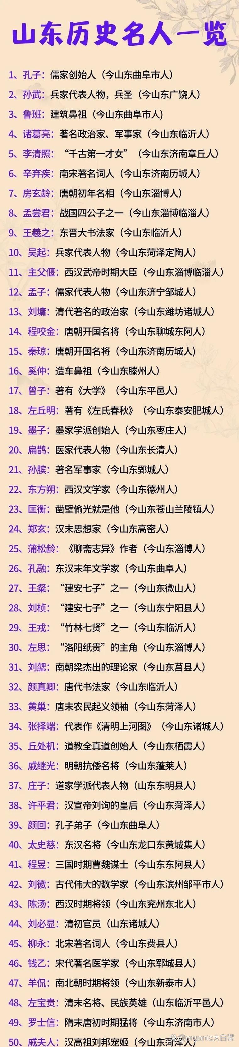 波音停飞东南方 （打唐代人名一）  第1张