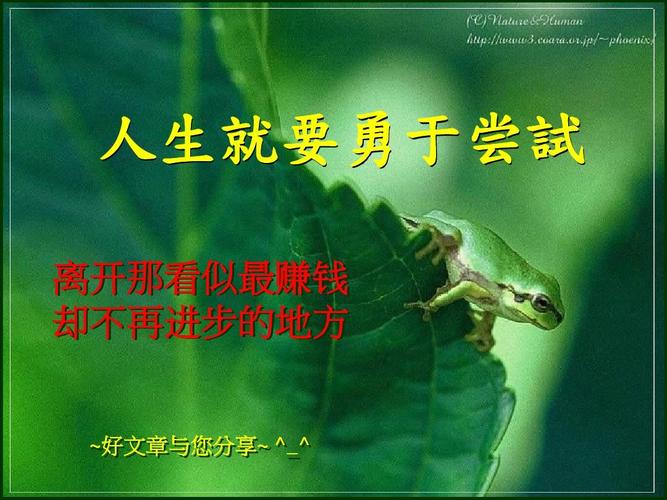 勇于尝试,铸就圆满人生 第1张 勇于尝试,铸就圆满人生 第1张