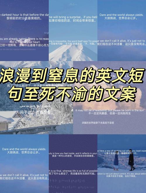 私藏的一些浪漫中英文句子（持续更新）  第1张