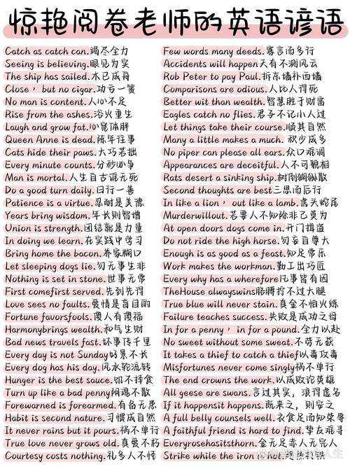 干货 | 初中英语150个优质句子，总结的太好了  第1张