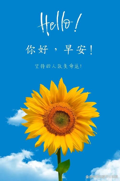 早晨刚睡醒发的说说,积极向上,振奋人心 第1张 早晨刚睡醒发的说说,积极向上,振奋人心 第1张